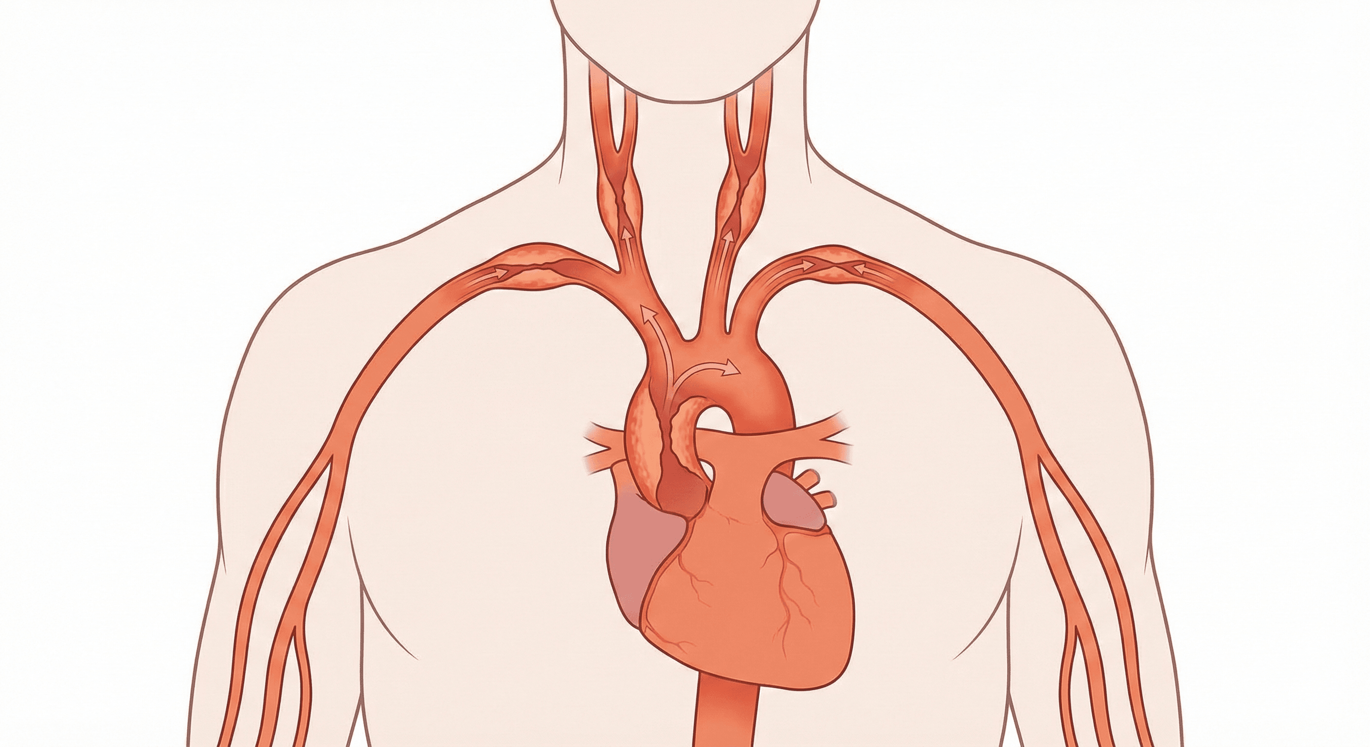 Enfermedad de Takayasu con compromiso circulatorio